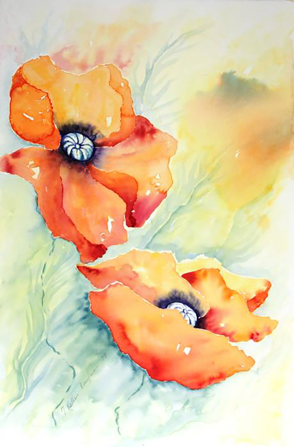 Mohn II     